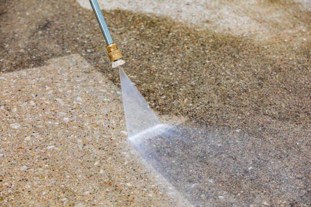 Best Roof Washing  in Dale, IN