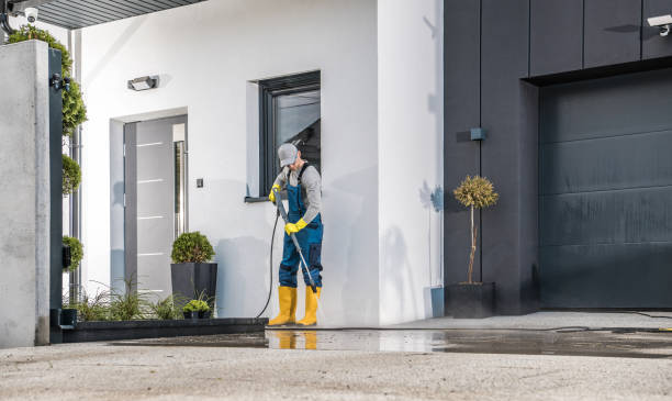 Best Spring Cleaning  in Dale, IN